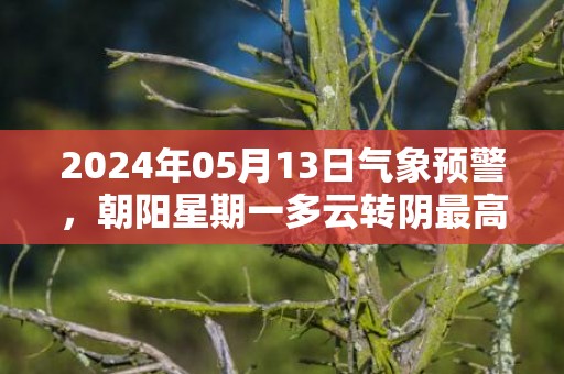 2024年05月13日气象预警，朝阳星期一多云转阴最高温度31℃