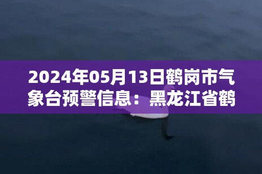 2024年05月13日鹤岗市气象台预警信息：黑龙江省鹤岗市发布大雾黄色预警