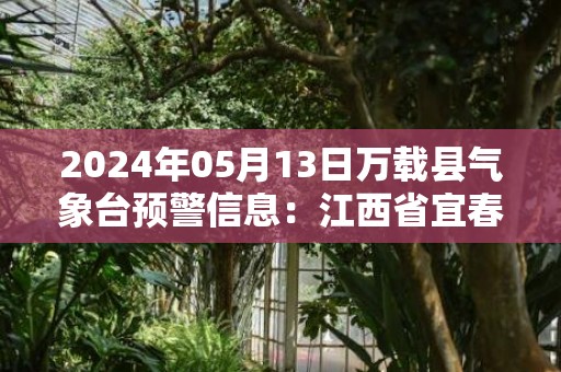 2024年05月13日万载县气象台预警信息：江西省宜春市万载县更新大雾橙色预警