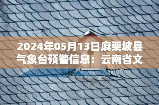 2024年05月13日麻栗坡县气象台预警信息：云南省文山壮族苗族自治州麻栗坡县发布暴雨橙色预警