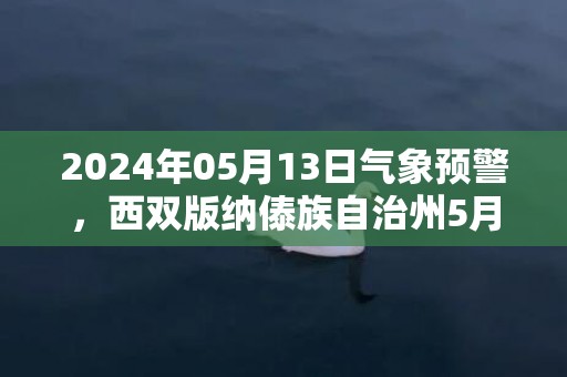 2024年05月13日气象预警，西双版纳傣族自治州5月13日星期一天气预报 大部小雨