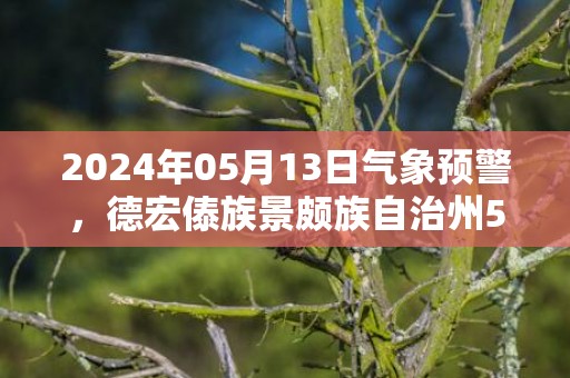 2024年05月13日气象预警，德宏傣族景颇族自治州5月13日周一天气预报 大部多云