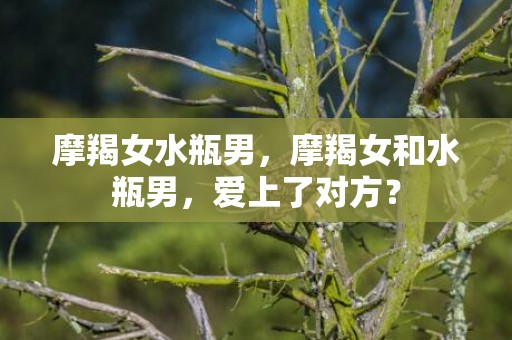 摩羯女水瓶男，摩羯女和水瓶男，爱上了对方？