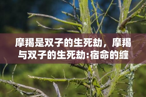 摩羯是双子的生死劫，摩羯与双子的生死劫:宿命的缠绕？