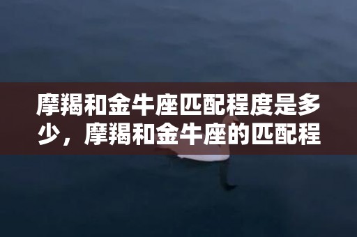 摩羯和金牛座匹配程度是多少，摩羯和金牛座的匹配程度如何？