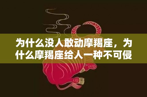 为什么没人敢动摩羯座，为什么摩羯座给人一种不可侵犯的感觉?