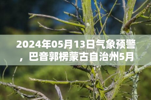 2024年05月13日气象预警，巴音郭楞蒙古自治州5月13日星期一多云最高温度38℃