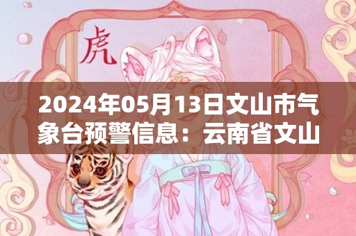 2024年05月13日文山市气象台预警信息：云南省文山壮族苗族自治州发布雷电黄色预警