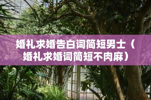 婚礼求婚告白词简短男士（婚礼求婚词简短不肉麻）