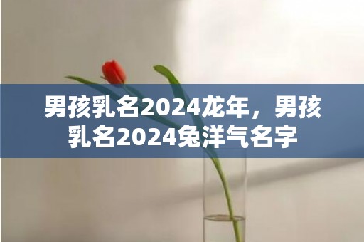 男孩乳名2024龙年，男孩乳名2024兔洋气名字