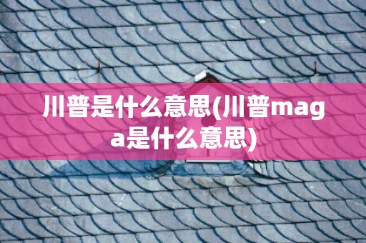 川普是什么意思(川普maga是什么意思)