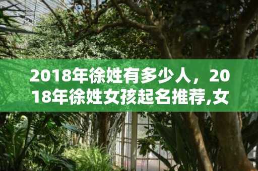 2018年徐姓有多少人，2018年徐姓女孩起名推荐,女孩起名该怎么起？