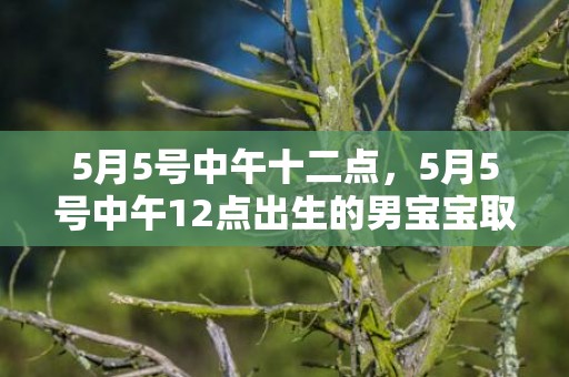 5月5号中午十二点，5月5号中午12点出生的男宝宝取名字的好方法必看