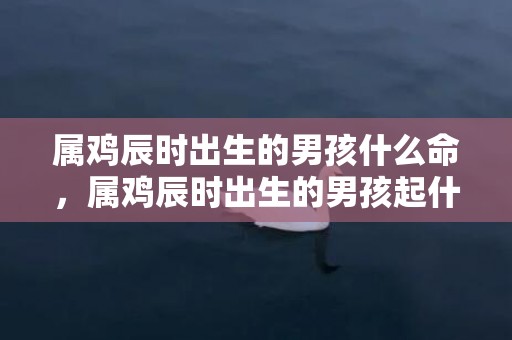 属鸡辰时出生的男孩什么命，属鸡辰时出生的男孩起什么名字好，禁用什么字