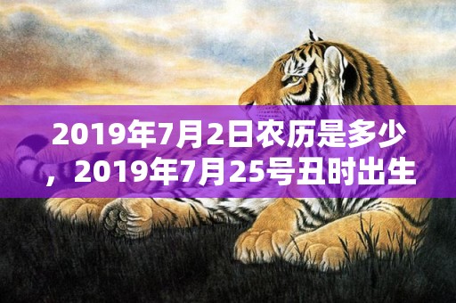 2019年7月2日农历是多少，2019年7月25号丑时出生的男孩怎么起名字，五行属什么