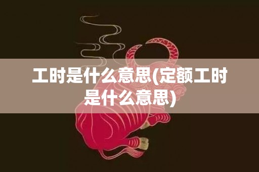 工时是什么意思(定额工时是什么意思)