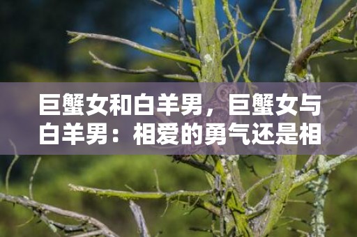 巨蟹女和白羊男，巨蟹女与白羊男：相爱的勇气还是相处的智慧？