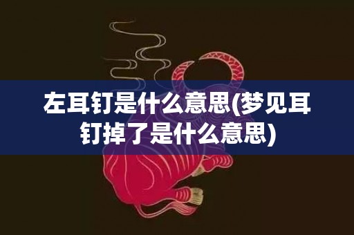 左耳钉是什么意思(梦见耳钉掉了是什么意思)