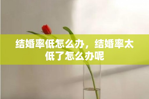 结婚率低怎么办，结婚率太低了怎么办呢