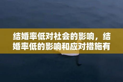 结婚率低对社会的影响，结婚率低的影响和应对措施有哪些