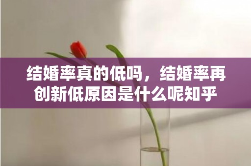 结婚率真的低吗，结婚率再创新低原因是什么呢知乎