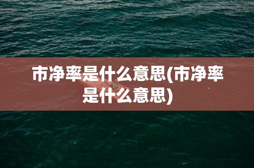 市净率是什么意思(市净率是什么意思)