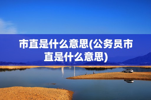 市直是什么意思(公务员市直是什么意思)