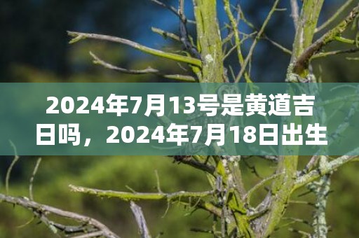 2024年7月13号是黄道吉日吗，2024年7月18日出生的男宝宝名字大全