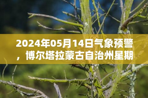 2024年05月14日气象预警，博尔塔拉蒙古自治州星期二天气预报 大部晴