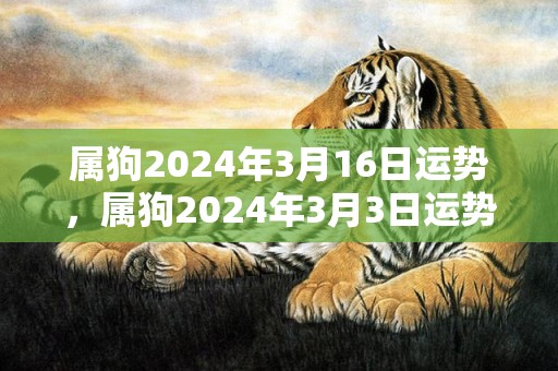 属狗2024年3月16日运势，属狗2024年3月3日运势解析