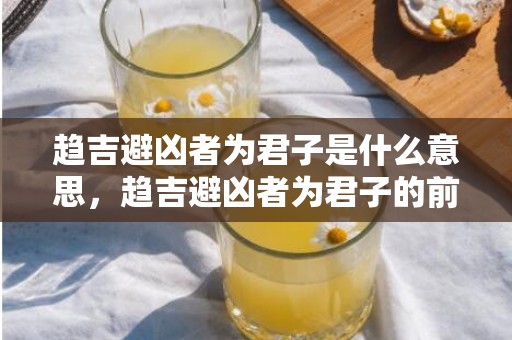 趋吉避凶者为君子是什么意思，趋吉避凶者为君子的前句是啥呢