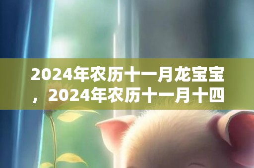 2024年农历十一月龙宝宝，2024年农历十一月十四出生的女孩平安顺遂吉祥好名推荐