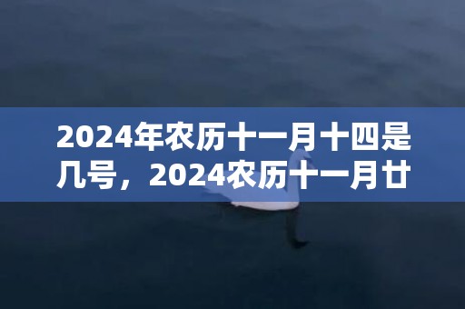 2024年农历十一月十四是几号，2024农历十一月廿二日出生的女孩是什么命