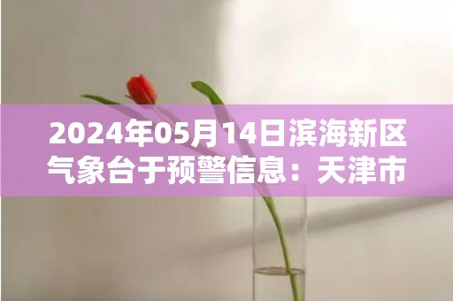 2024年05月14日滨海新区气象台于预警信息：天津市滨海新区发布海上大风蓝色预警