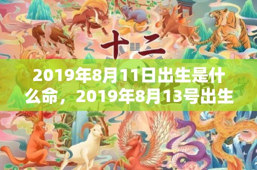 2019年8月11日出生是什么命，2019年8月13号出生的男宝宝五行缺水要如何起名字