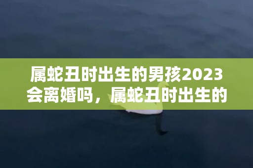 属蛇丑时出生的男孩2023会离婚吗，属蛇丑时出生的男孩起什么名字好，不应该用什么字