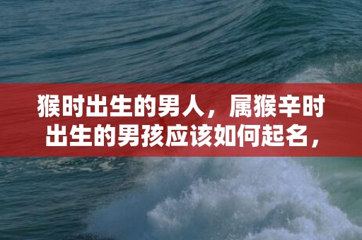 猴时出生的男人，属猴辛时出生的男孩应该如何起名，用什么字好