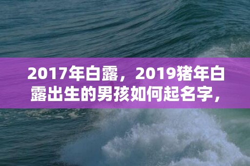 2017年白露，2019猪年白露出生的男孩如何起名字，五行属什么