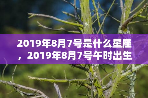 2019年8月7号是什么星座，2019年8月7号午时出生的男孩怎么起名字