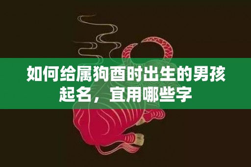 如何给属狗酉时出生的男孩起名，宜用哪些字