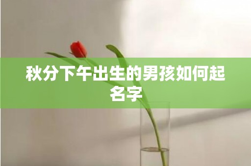 秋分下午出生的男孩如何起名字