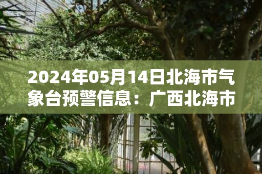 2024年05月14日北海市气象台预警信息：广西北海市发布雷雨大风黄色预警