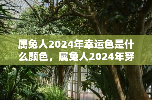 属兔人2024年幸运色是什么颜色，属兔人2024年穿什么颜色衣服最旺