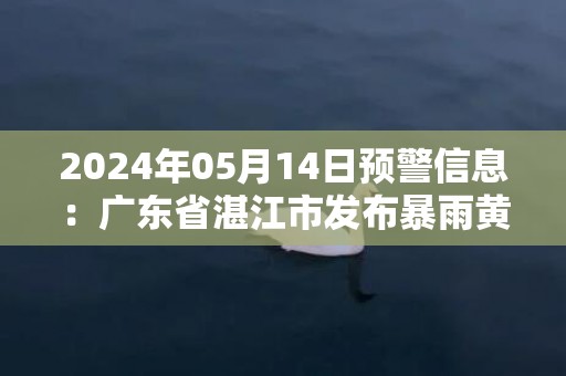 2024年05月14日预警信息：广东省湛江市发布暴雨黄色预警