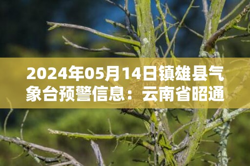 2024年05月14日镇雄县气象台预警信息：云南省昭通市镇雄县发布冰雹橙色预警