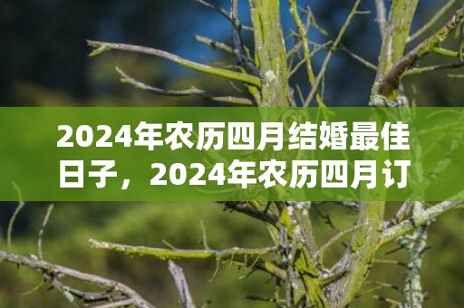 2024年农历四月结婚最佳日子，2024年农历四月订婚的黄道吉日有哪些