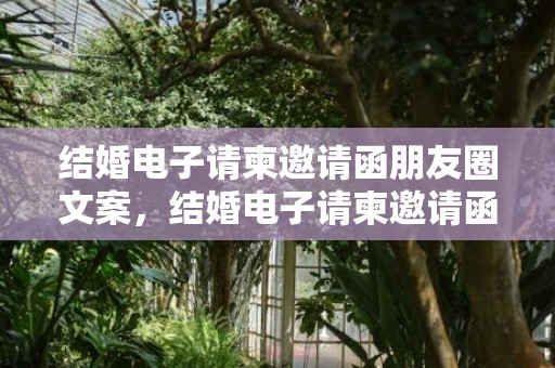 结婚电子请柬邀请函朋友圈文案，结婚电子请柬邀请函通常多少张相片？电子请帖一般放多少张照片