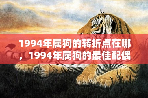 1994年属狗的转折点在哪，1994年属狗的最佳配偶