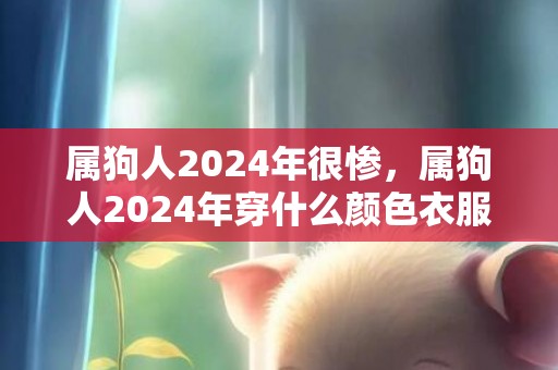 属狗人2024年很惨，属狗人2024年穿什么颜色衣服最旺