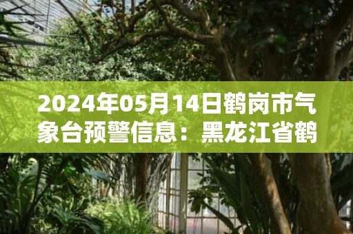 2024年05月14日鹤岗市气象台预警信息：黑龙江省鹤岗市发布大风蓝色预警